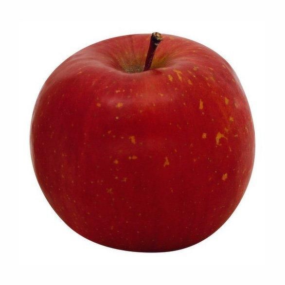 Red Delicious Apple Wholesale Origin Bulk Sweet Red Delicious, Apples - Image 3
