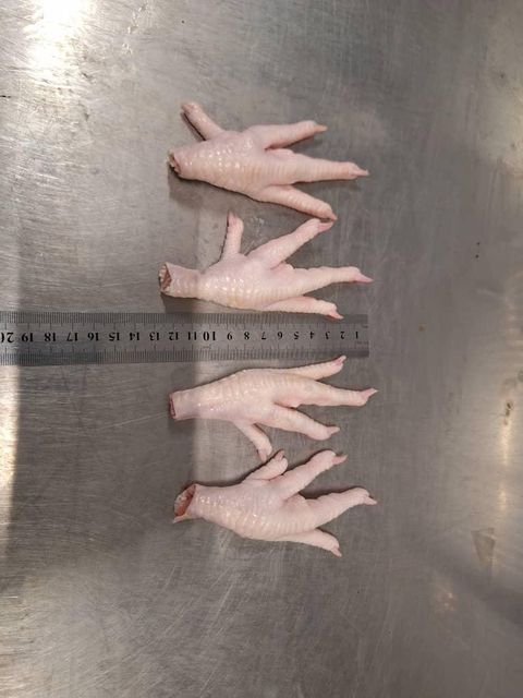 frozen chicken paw - Image 1