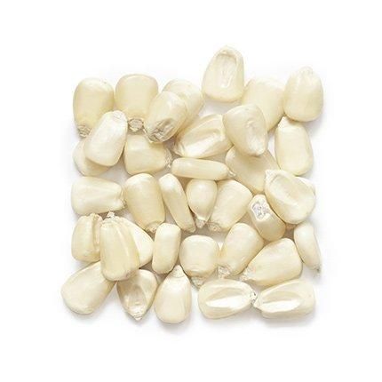 Maize / Corn - Image 1