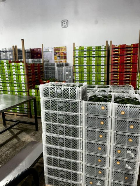 Fresh hass Avocado – product photo 3, product detail gallery