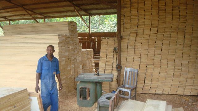 Ayous Texture Smooth Weight Lightweight Max. Moisture (%) 16 Sourcing Sustainable Workability Excellent Place of Origin - Image 2