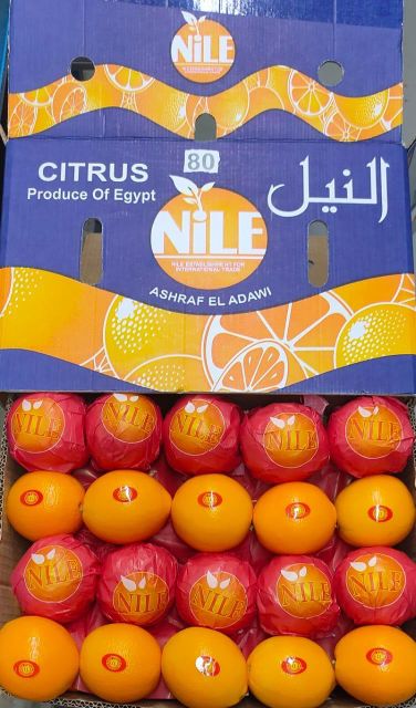 Fresh Oranges, NFC Juice & Frozen Strawberry Organic Yes Grade 1,1.5,2 Fruit Type Orange Degree Of Maturity Mature Degree of Processing Other - Image 3