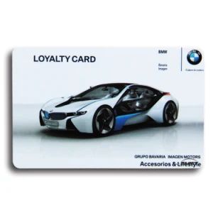 Custom CYMK Colors Print Membership ID Chip VIP Cards for Club - Image 1