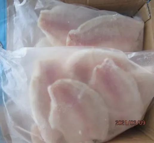 Frozen Tilapia Fillet Fish Sea Food Origin China HS Code 030323 Processing IQF Style Pieces and Stems Model NO. Frozen - Image 6