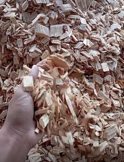 Hardwood chip acacia & eucalyptus Moq 25000 Mt Origin Indonesia, Brazil Condition Well Sorted, Clean, And Dry Monthly Supply Capacity 600000 Mt Or More - Image 2