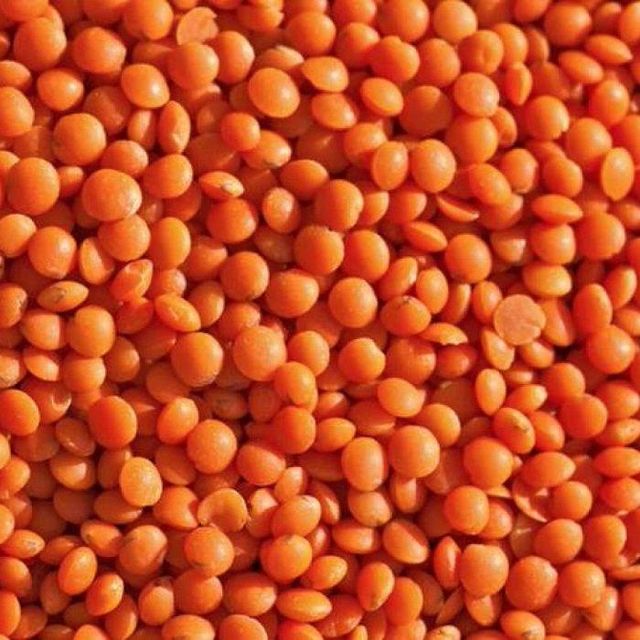 Wholesale Price Canadian Red Lentils / Split Red Lentils Available for Sale at Low Price, Fresh Red Lentil - Image 4