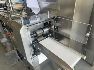 Pillow Type Glove Flow Packing Machine - Image 5