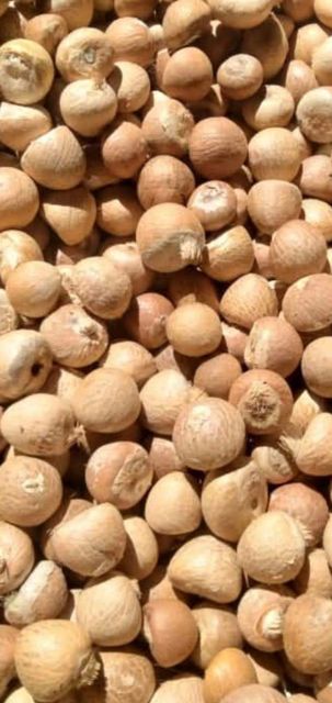 BETELNUT - Image 4