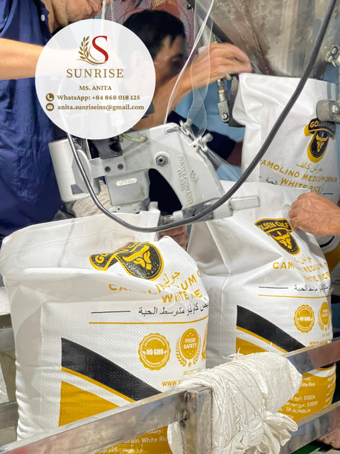 Camolino/calrose/egyptian/medium grain rice with oil from TOP supplier in Vietnam – product photo 5, product detail gallery