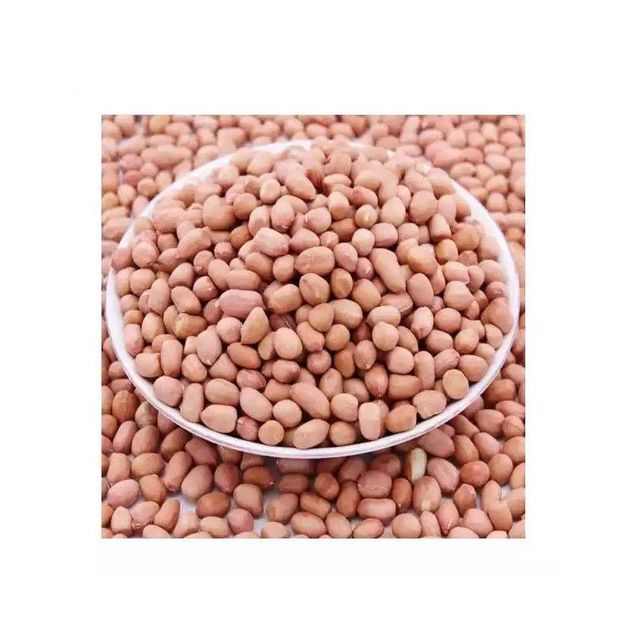 Premium Peanuts bulk supply wholesale affordable price fresh bulk - Image 1