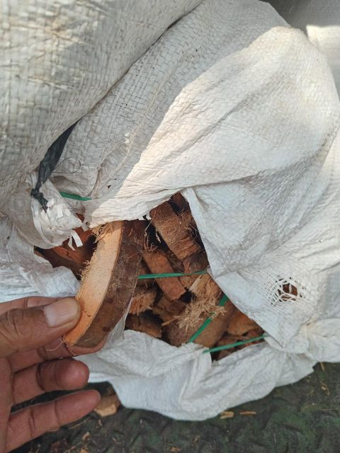 Coconut Husk - Image 3