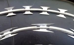 Top Quality Low Price Concertina Razor Barbed Wire - Image 1
