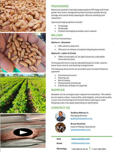Grade 1 Sugar Beans - Image 4