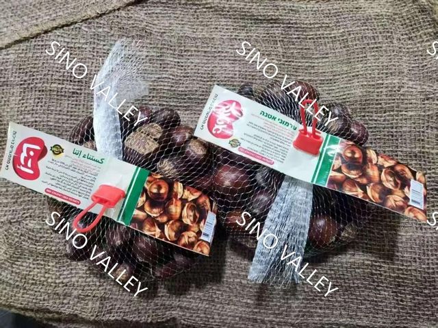 China Fresh Raw water Chestnut kernel Bulk | Premium Mount Tai Chestnut Supplier - Image 3