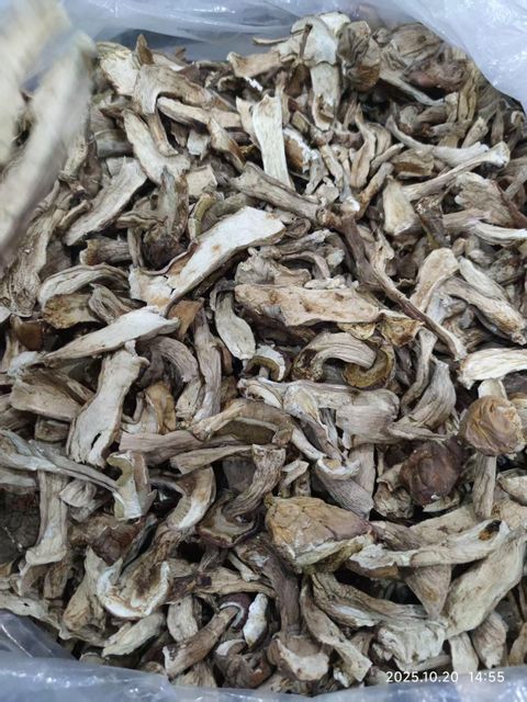 Dried Boletus Edulis - Image 1