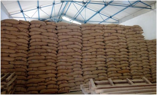 Premium Quality Whole Wheat Grain (27-28% Gluten) for Global Market. Top Quality Ukrainian Wheat. - Image 3