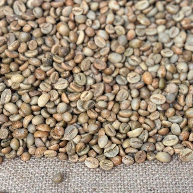 Robusta Green Bean Coffee - Indonesia (Grade 1/2/3) - Image 2