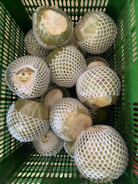 Coconuts Organic Yes Origin Ben Tre, Vietnam Degree of Processing Dried, Fresh, Other Form Diamond Cut, Easy-Open, Flakes, Grated, Husked Coconut, White Coconut (Fully Trimmed), Whole - Image 7