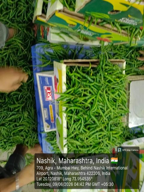 Fresh Green Chilli (G4) - Image 2