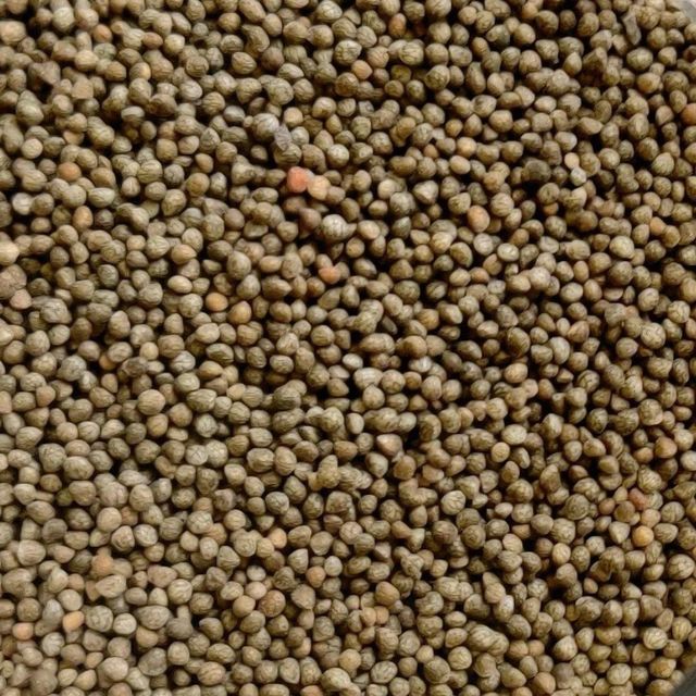 Selected Natural Whole Perilla Seeds Exported With Careful Sorting And Secure Packaging - Image 4