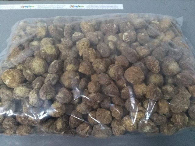 MACA POWDER HIGH QUALITY Form Powder Starch Content Low Purity 100%, 100% Maca Altitude Over 4300 Meters Origin Junin Region, Peru, Peru - Image 4