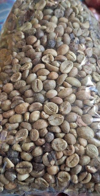 Robusta coffee beans - Image 4