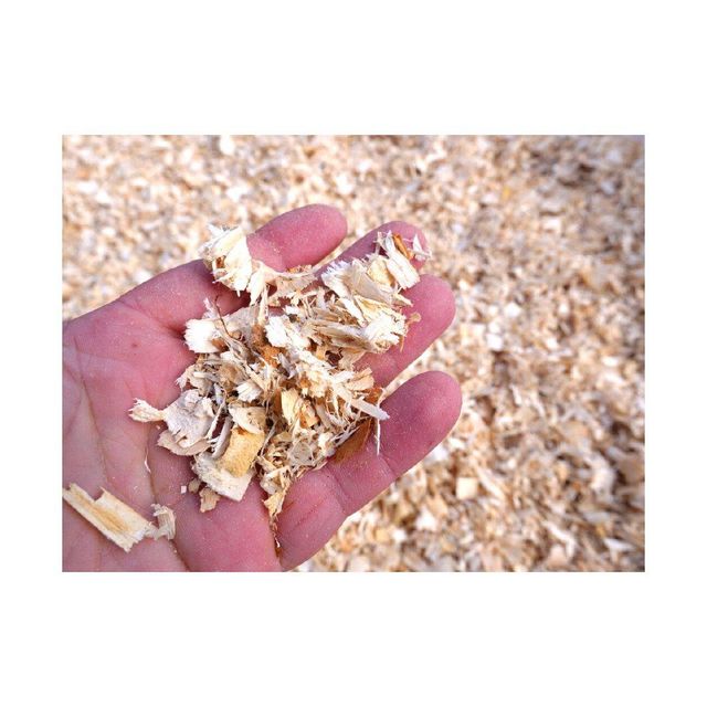 High-quality Wood Shavings Grade Top Packaging Bulk Toxicity Non-toxic Type Wood Shavings Absorbency Superior Dust Level Dust-free - Image 1