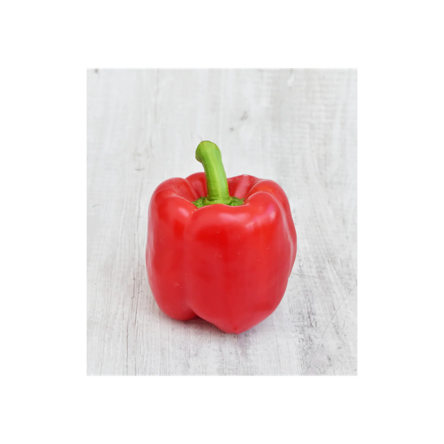 Fresh red capsicum available in bulk for wholesale vegetable suppliers - Image 4
