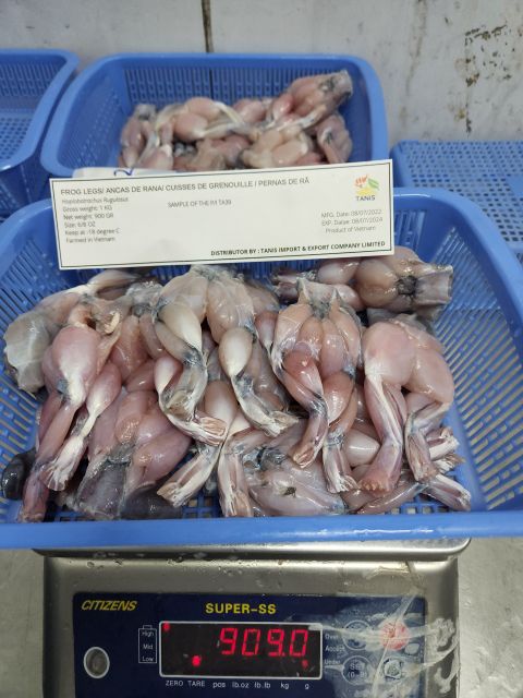 Top selling bull skinless frog legs for wholesale Shape Piece Color Natural Type Frozen Food Brand Name Tanisimex Shelf Life 24 - Image 3