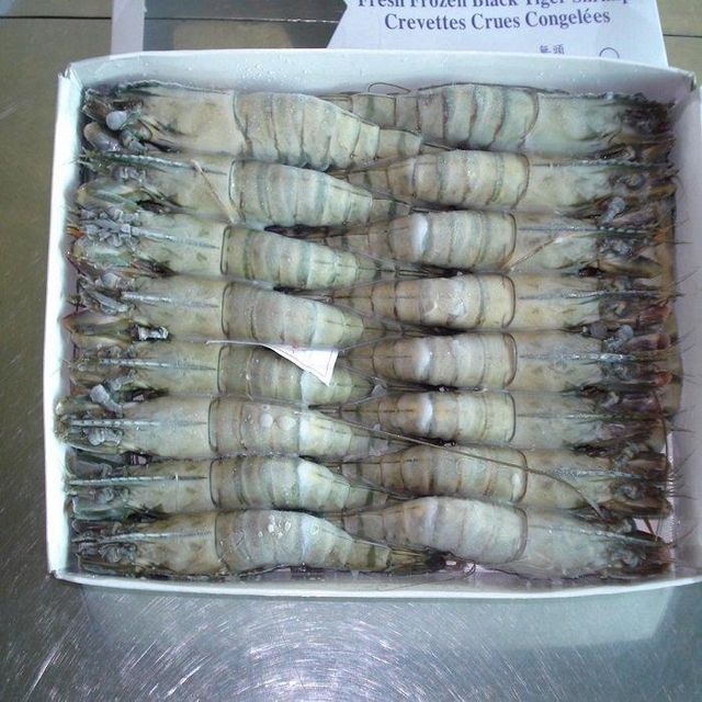 Wholesale Quality Frozen Black Tiger Shrimp BQF Process Raw Natural Seafood in Stock Ready to Ship - Image 4