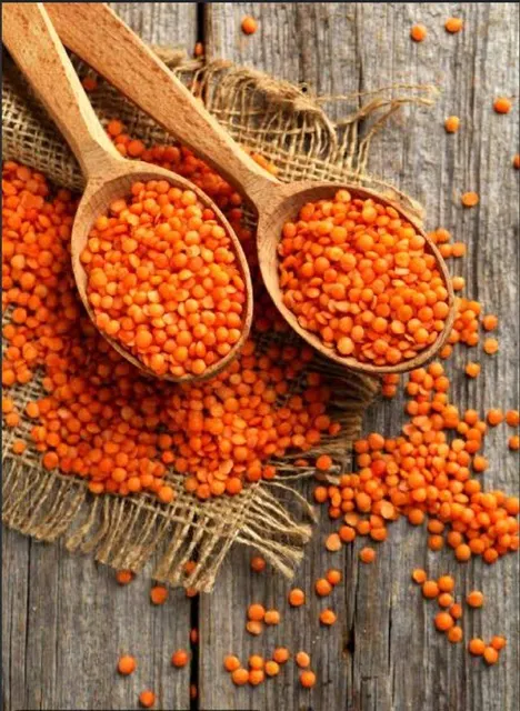 Red lentils - Image 1