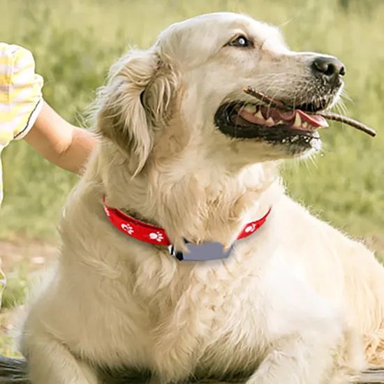 Pet Collar Tracker for GPS Locating Dogs - Image 5