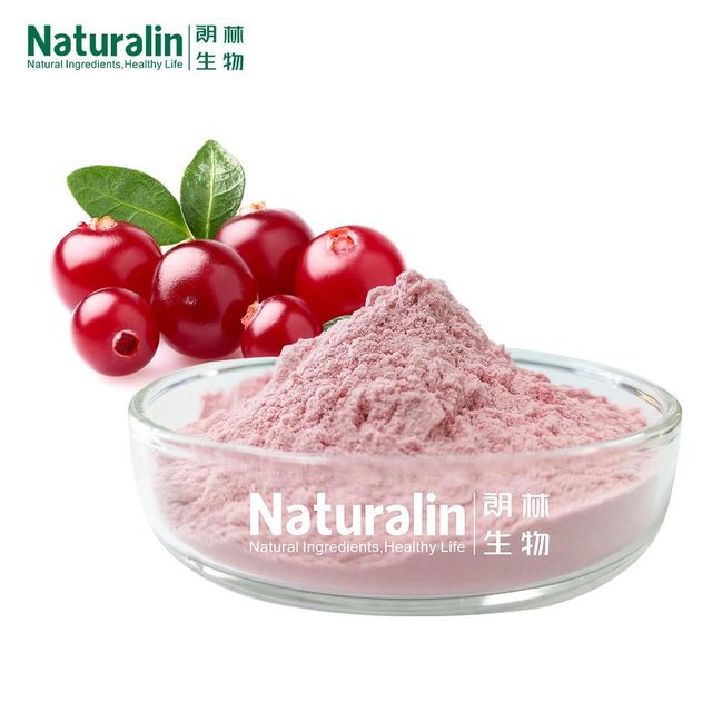 Cranberry Powder - Image 3