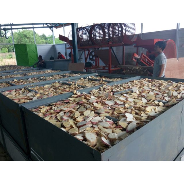 Wholesale fresh whole root cassava, tapioca chip, slice cassava - cheap price from Vietnam. - Image 6