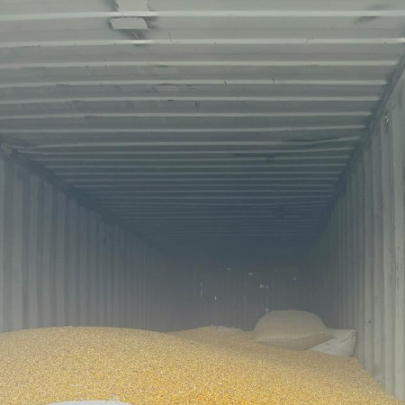 Wholesale White & Yellow Corn for Animal Feed | Feed Grade Maize | Bulk Export Supplier Thailand - Image 2