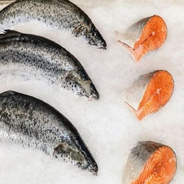 Fresh Norwegian Salmon Premium Atlantic Origin Whole Fish Supply For International Seafood Buyers And Export Markets - Image 3