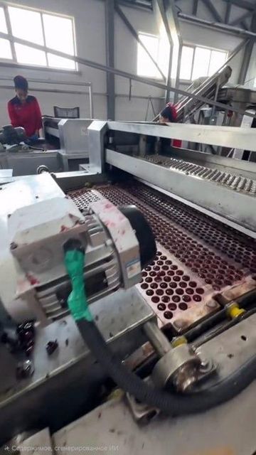 Frozen IQF Pitted Sour Cherry, Whole Individually Quick Frozen Cherries Without Pits, Bulk Wholesale, Uzbekistan – product photo 4, product detail gallery