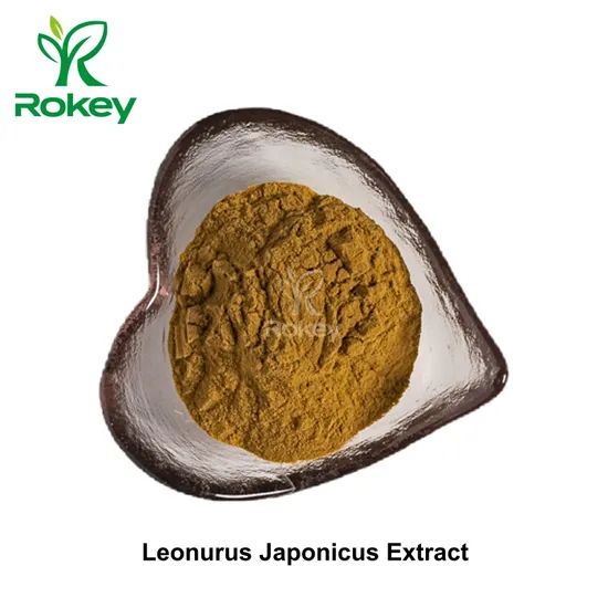 Premium Herbal Extract for Wellness Support Leonurus Japonicus Extract Powder - Image 2