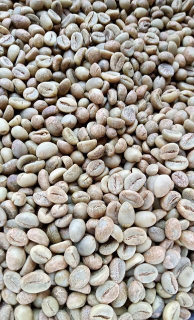 ROASTED COFFEE BEANS READY FOR EXPORT CONTACT US ON WHATSAPP +255787979235/ 255795279787 - Image 3