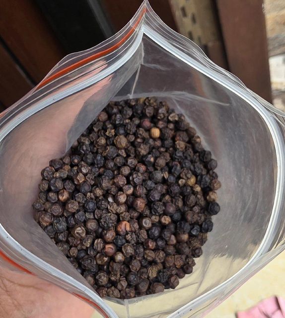 Papper Seeds - Image 3