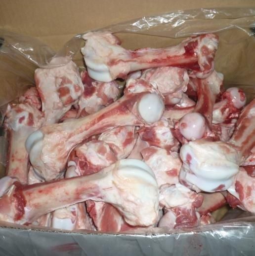 Frozen Pork Femurs Bones Grade a in Cheap Price for Catering Ready Meals and Food Service - Image 1