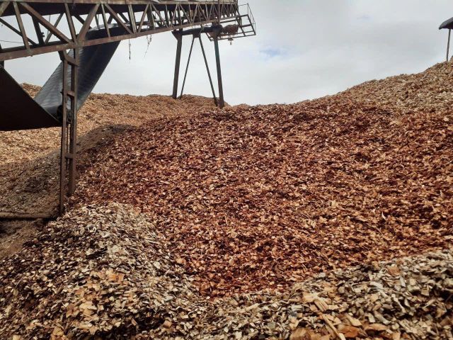 Vietnam Acacia Wood Chips for Pulp & Paper Production - Image 1