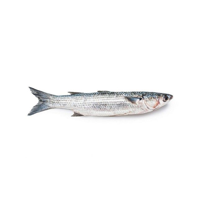 Frozen grey mullet fish bulk supply wholesale cheap price premium quality seafood - Image 4
