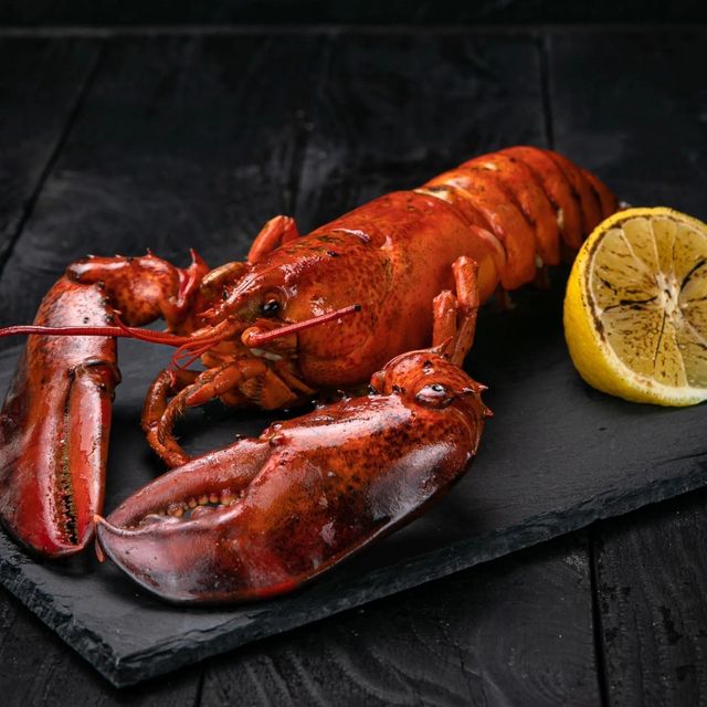 Competitive Price Live Lobster / Lobster Tails From Thailand Wholesale in Bulk for Export - Image 5