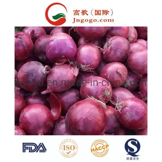 New Crop Export Good Quality Chinese Red Onion Color Red Shape Oval Type Whole Trademark GOGO Size 3.0cm and up HS Code - Image 2