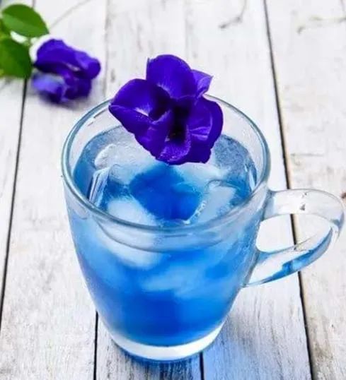 High Quality 100 Purity Herbal Extract Organic Tea Butterfly Pea Flower Powder - Image 6