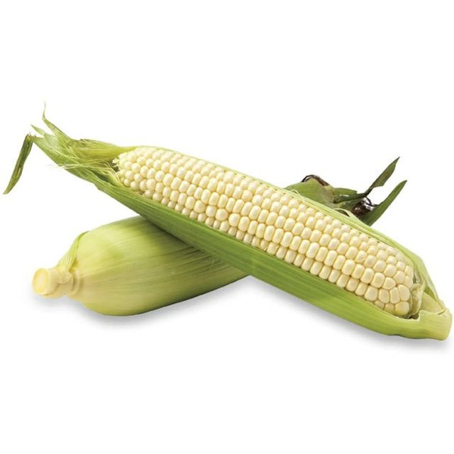 Non GMO White Corn For International Feed Processing With Clean Kernels And Carefully Selected Harvest Quality - Image 1