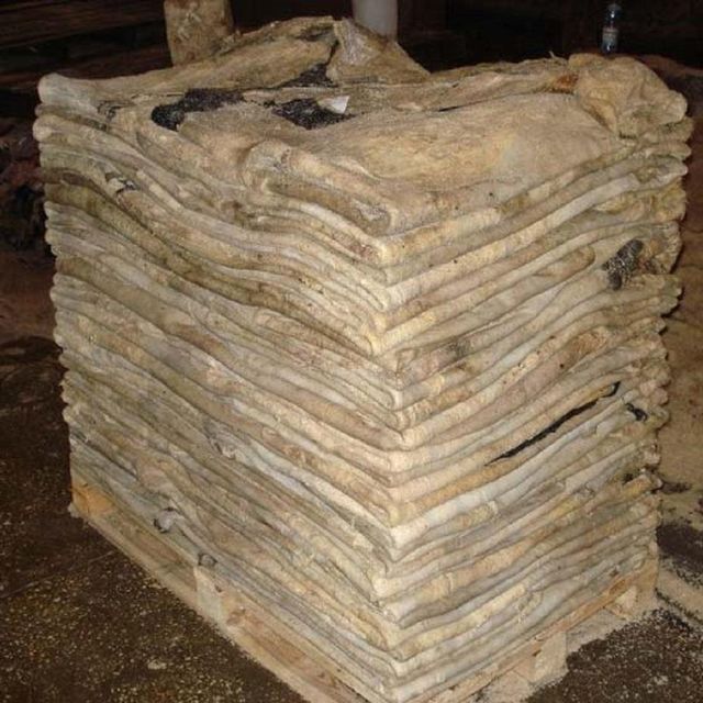 Factory Supply Natural Wet Salted Donkey Hides Dry Salted Donkey Skins Premium Raw Hide for Leather Industry Worldwide - Image 2