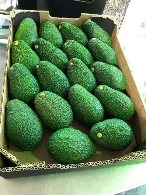 Avocados - Image 4