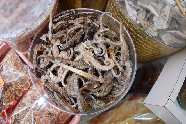 Finest Dried Sea Horse Premium Grade Product Available To Buy With Reliable Packaging And Great Value Offer - Image 5